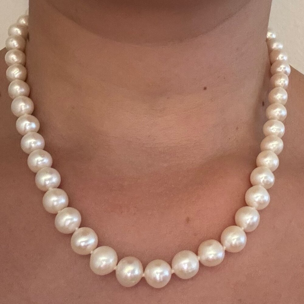 Freshwater Pearl Necklace - NWOT